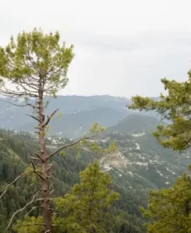 murree